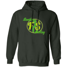 Load image into Gallery viewer, Z66 Pullover Hoodie Financially Stable
