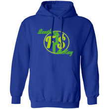 Load image into Gallery viewer, Z66 Pullover Hoodie Financially Stable
